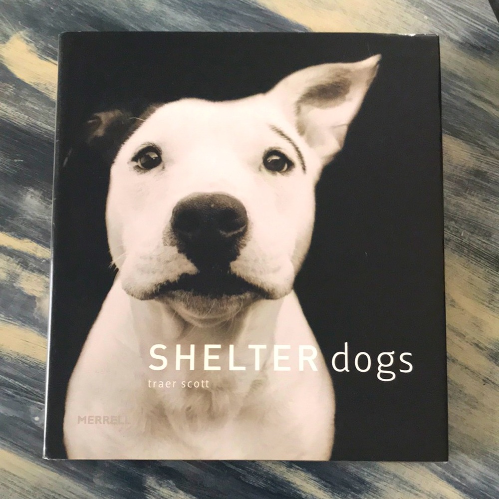 Shelter Dogs Hardback Book